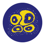 mould growth symbol