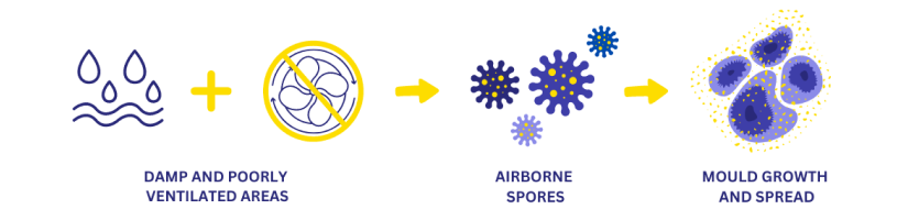 mould spreading