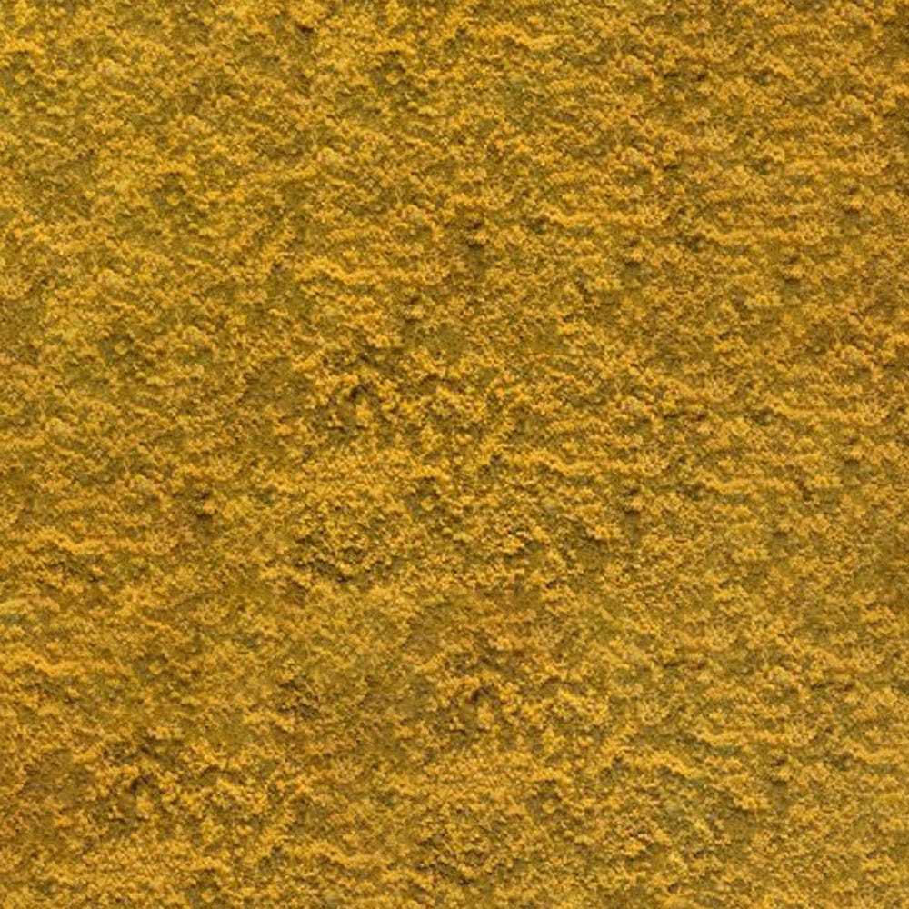 Soft Building Sand 40kg