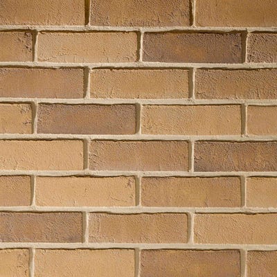 TBS Olde English Buff Multi Brick Pack of 552