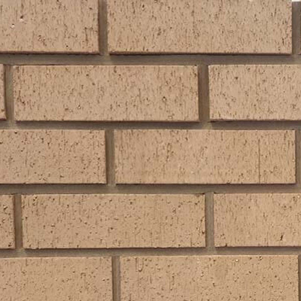 Carrick Buff Brick Pack of 460