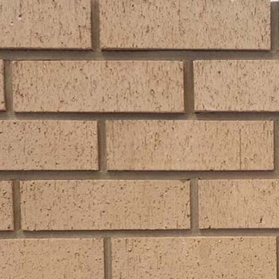 Carrick Buff Brick Pack of 460