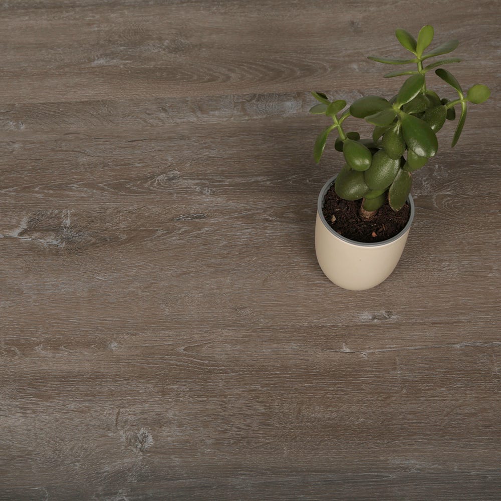 Crown Click 5mm Steelwood Oak SPC Vinyl Flooring