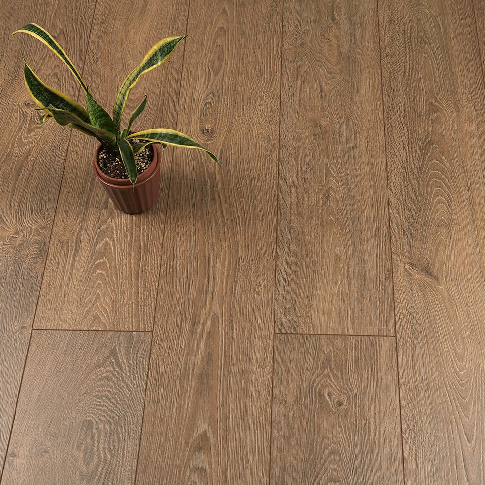 Forged Oak 8mm Water Resistant Laminate Flooring