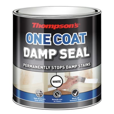 Thompson's One Coat Damp Seal White 2.5L