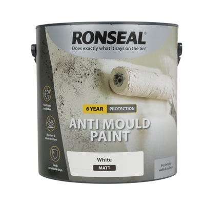 Ronseal 6 Year Anti Mould Paint Matt White
