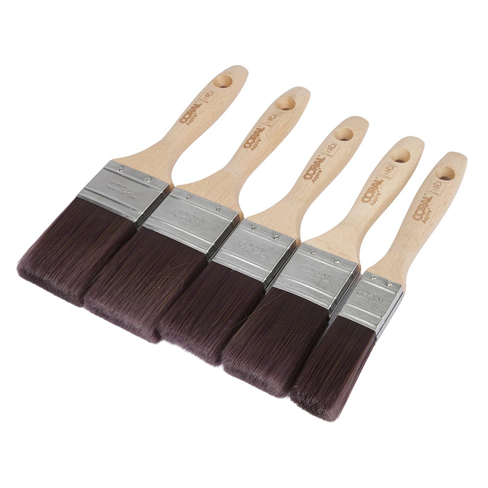 Coral Aspire Paint Brush Set Pack of 5