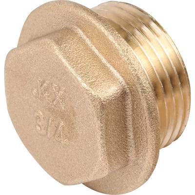 Brass Plug 19mm
