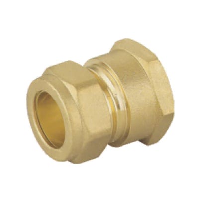 Compression Female Coupling 22mm x 1''