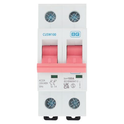 BG 100A Double Pole Main Switch CUSW100
