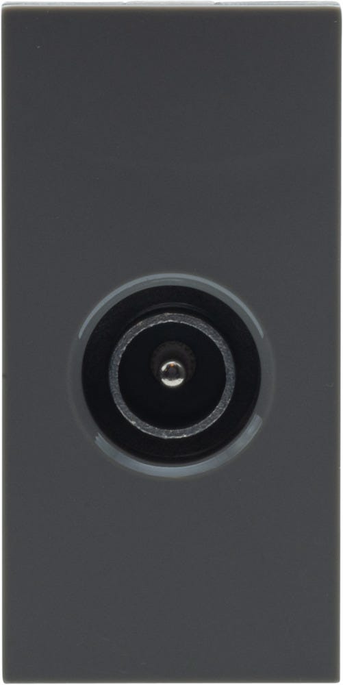 BG Euro Module IEC - Male TV Grey EMTVMG-01