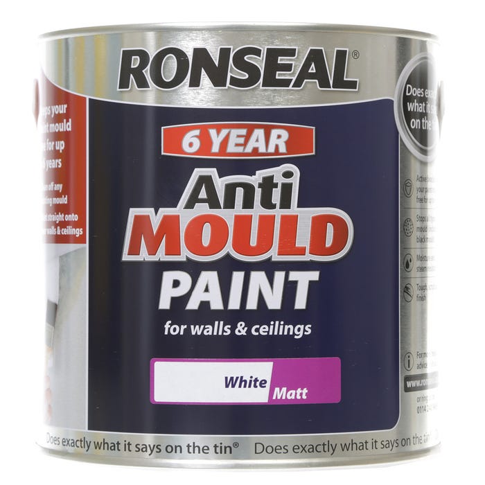 Ronseal 6 Year Anti Mould Paint Matt White