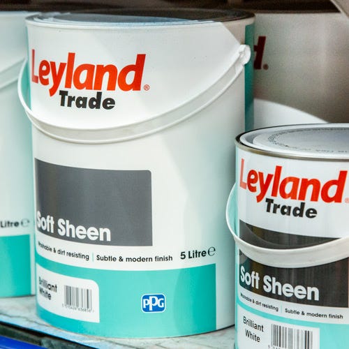 Soft Sheen Paint