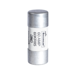 Bussmann 60A Fuse