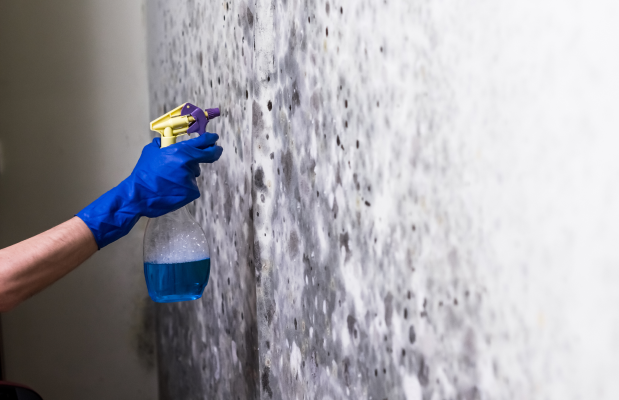 Mould Spray Hero