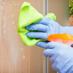 cleaning_shower_glass