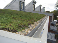 green roof furring strip