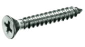 Phillips Screw