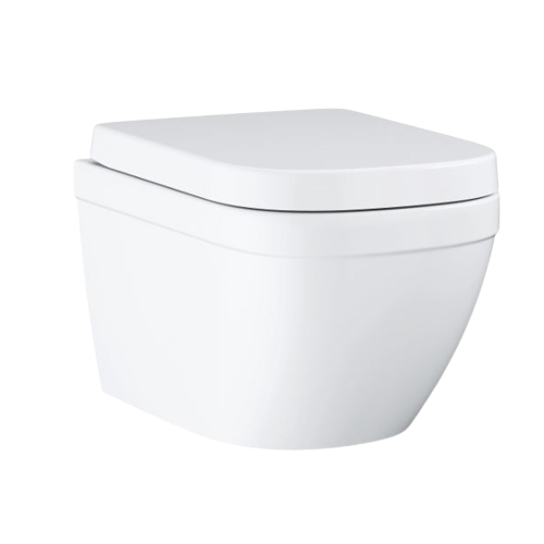 rimless toilet