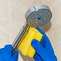 cleaning_shower_head