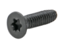 Torx Screw